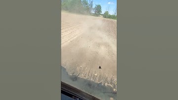 Rotary Hoe Organic Soybeans