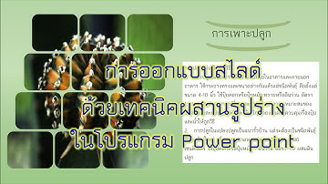วิธีทำ power point สวย ๆ , การออกแบบสไลด์ด้วยเทคนิคผสานรูปร่างในโปรแกรม Power point