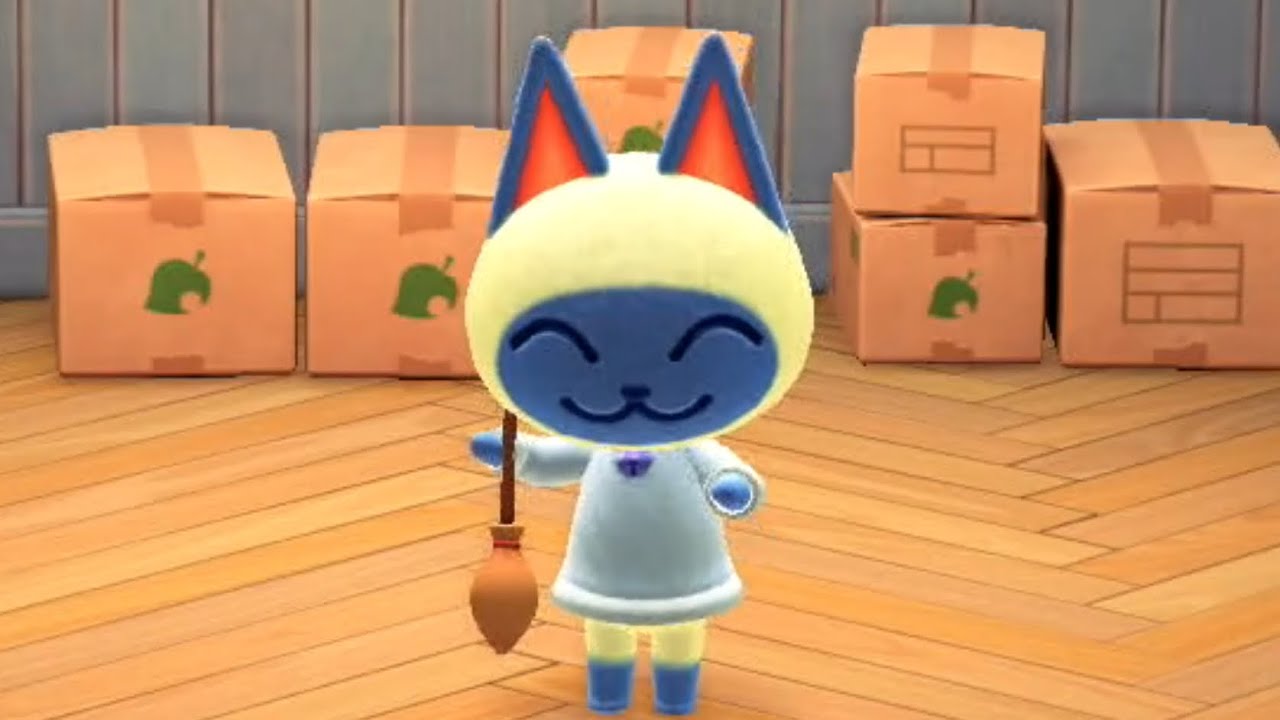 maxresdefault.jpg