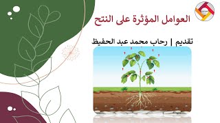 العوامل المؤثرة على عملية النتح |أحياء الصف التاسع |قناة المعلم المبدع