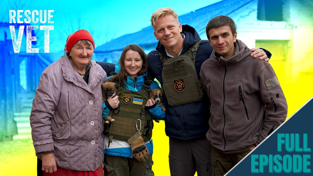 War Vet | Rescuing Puppies & Kittens from the Frontlines in Ukraine