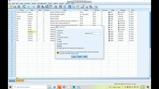 INPUT VARIABEL VIEW PADA SPSS