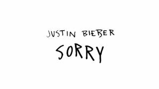 Justin Bieber Sorry (Instrumental With Backing Vocals)