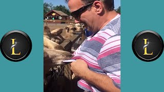 Try Not To Laugh - Funny at the zoo - 😆 Best Videos Compilation 2021