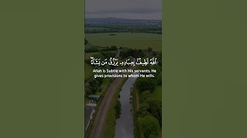 اللَّهُ لَطِيفٌ بِعِبَادِهِ || سورة الشورى || اسلام صبحي 💙🍃