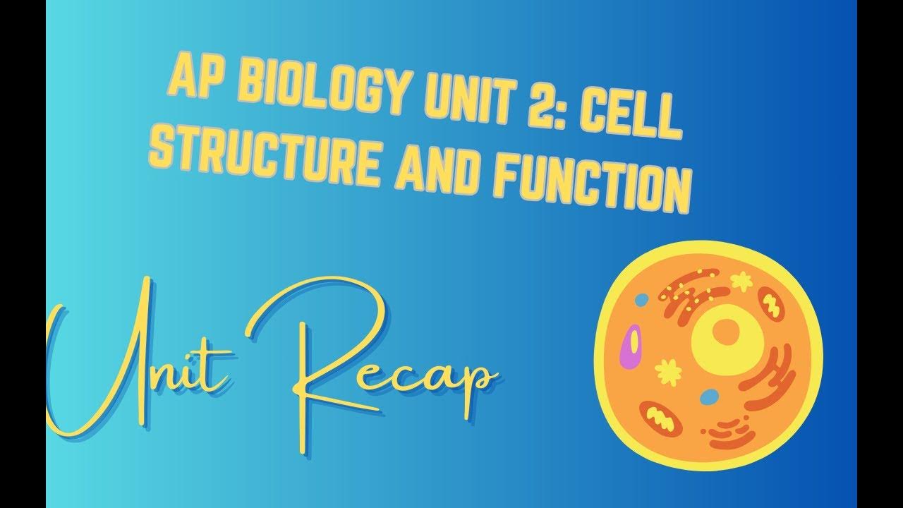 Unit 2 cell structure and function ap biology recap youtube