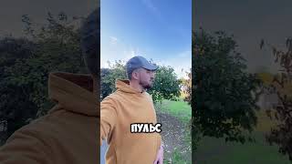 7/30  #спорт #дисциплина #пробежка #бег #зарядка #бодрость #молодость