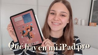 QUÉ HAY EN MI iPad PRO + ACCESORIOS PARA EL iPad  - Polo Positivo