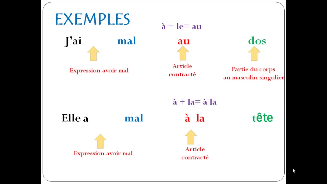 CATÉGORIE GRAMMAIRE avoir mal à + les parties du corps YouTube