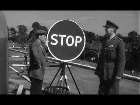 მისტერ პიტკინი მეტრის ზურგში (ფილმები ქართულად) / mister pitkini mtris zurgshi (Filmebi qartulad)