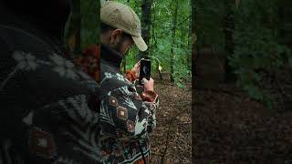 Fall🍁 Telephoto macro wonders with Giulio x #Xperia1VI #Shorts Fall🍁 Telephoto macro wonders with Giulio x #Xperia1VI #Shorts