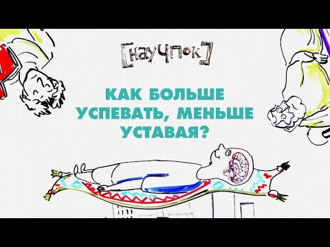 Как больше успевать, меньше уставая? — Научпок