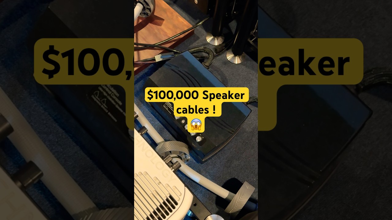 $100,000 MIT Speaker Cables !