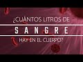 ¿Cuántos litros de sangre hay en el cuerpo humano?