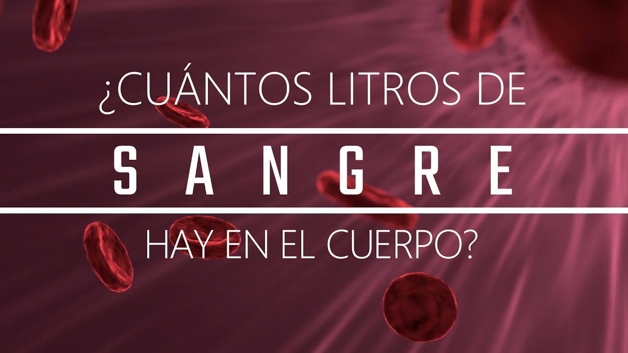 ¿Cuántos litros de sangre hay en el cuerpo humano? - YouTube