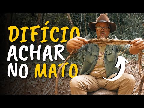 Como PROCESSAR o CIPÓ para usar em SITUAÇÕES de SOBREVIVÊNCIA ou em CONTRUÇÕES BUSHCRAFT