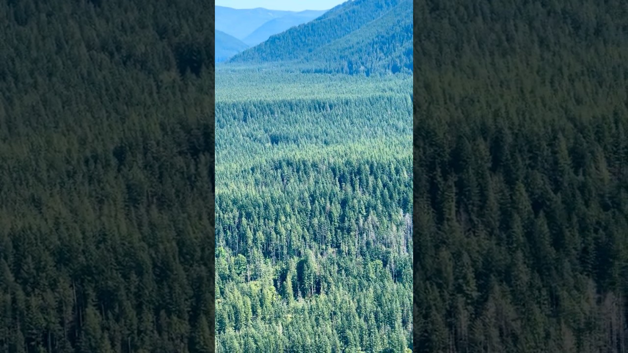 Lower Rattlesnake 🐍 pt. 3 - North Bend, WA 6/29/25