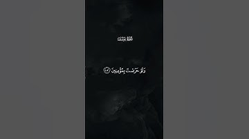 سورة يوسف - القارئ سعود الفايز #quran #المصحف #قرآن هو