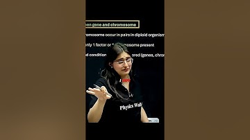 Aarushi mam teaching JEE level maths 😅 #pw #alakhpandey #jee #neet