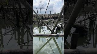Spot mancing yang sudah pasti dihuni ikan kakap putih