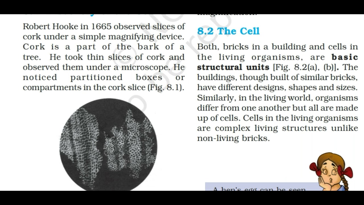 CBSE CLASS EIGHT SCIENCE,CHAPTER 8,CELL-STRUCTURE AND FUNCTION,DETAILED ...
