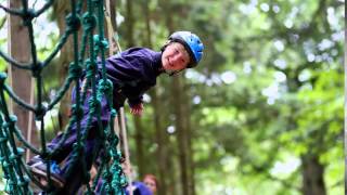 Download Free & Premium & HD Video Backgrounds screenshot 3