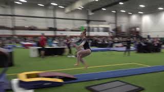 Vault Practice Judging with Scripts:  Bonus Round Clinic