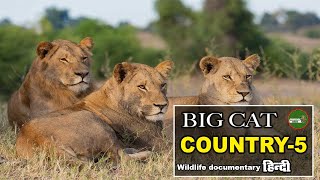 Hollywoods Held Hostage - Big Cat Country [2024] हिन्दी डॉक्यूमेंट्री _ Wildlife documentary Hindi