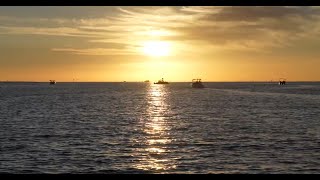 Marco Island February 2024 by Jack Shea 629 views 2 months ago 23 minutes