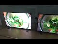 MicroLED Gains Focus as Seoul Semiconductor Plans $180M AR Investment