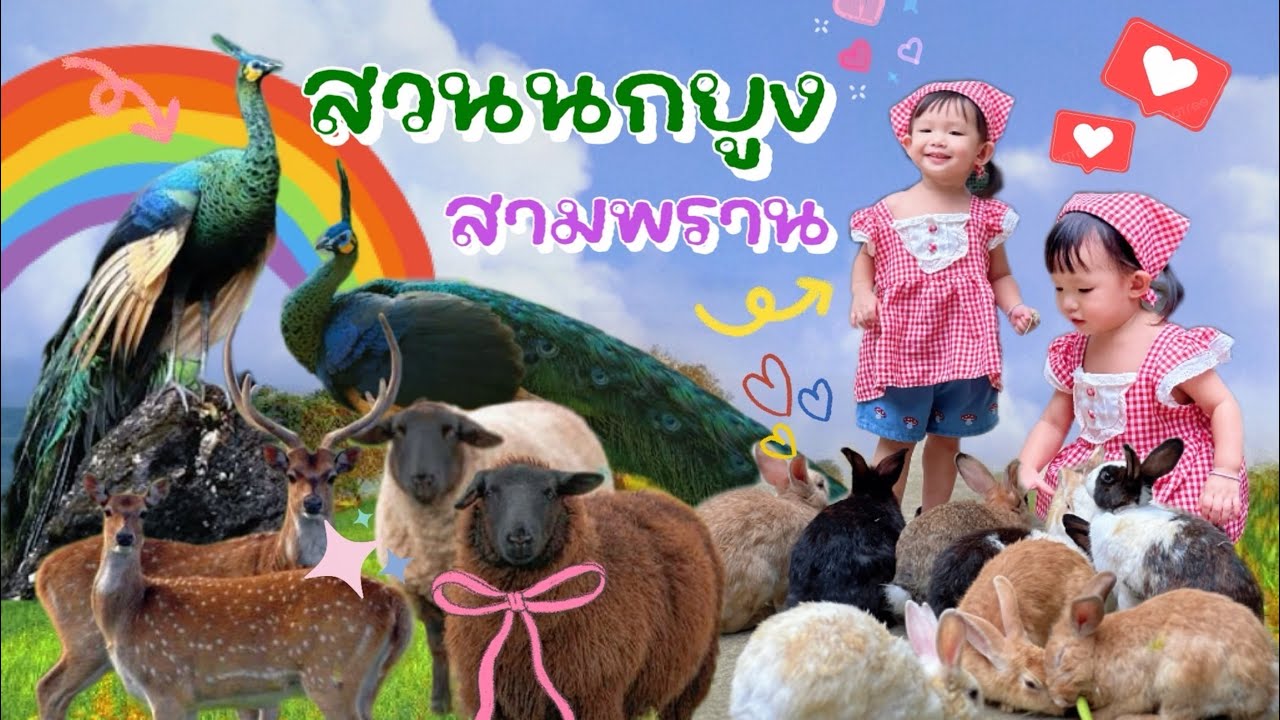 อัปเดต! ปี 2025 |“ตะลุยสวนนกยูงสามพราน – เจอของจริงยิ่งกว่าที่คิด!” | AvaGo Channel