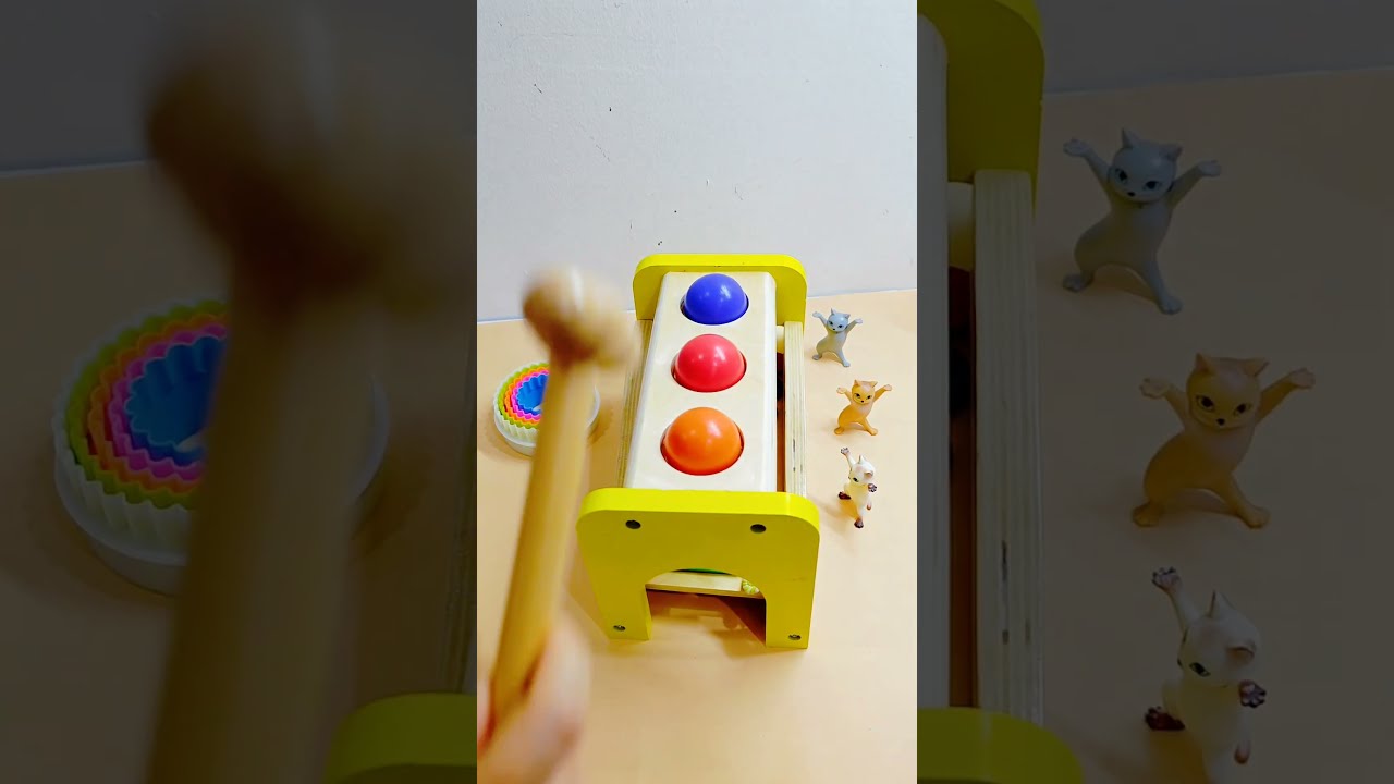 Marble Run Asmr Video 2517