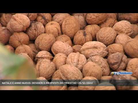 NATALE E ANNO NUOVO: DESIDERI E PROPOSITI DEI TRIESTINI | 25/12/2022