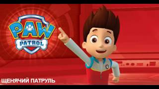 Главные герои мультика Щенячий патруль из мультфильмов nickelodeon cartoon Paw Patrol Главные герои мультика Щенячий патруль из мультфильмов nickelodeon cartoon Paw Patrol