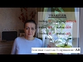 Типовые глаголы I спряжения на AR в испанском языке.TRABAJAR, CANTAR, HABLAR. Presente de indicativo