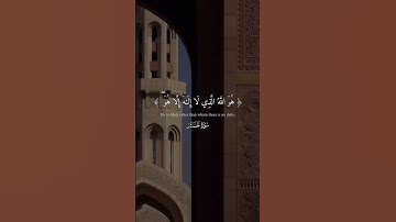 سورة الحشر #قرآن #قران_كريم #تلاوات #تلاوة_خاشعة #تلاوة_هادئة