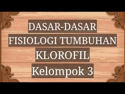 Video: Apakah klorofil paling polar?