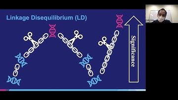 Polygenic risk scores: PRSice & lassosum with Shing Wan Choi