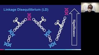 Polygenic risk scores: PRSice & lassosum with Shing Wan Choi