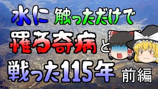 寄生虫と人間の115年の戦い…『日本住血吸虫』【ゆっくり解説】【修正版前編】