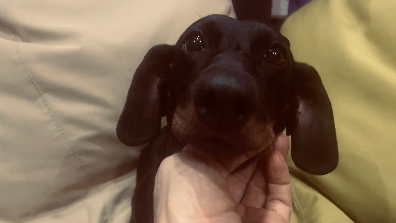 Кажется, все починили. Попробуем поболтать?