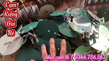 Cạm kiềng bẫy chuột đồng thú rừng giá rẻ chất lượng uy tín.#cạm .#bẫy.#cạmkiềng .#camkienggiare