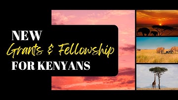 New Grants & Fellowships for Kenyans You Shouldn’t Miss!