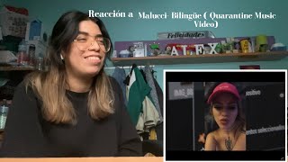 Reacción A Malucci- Bilingüe Quarantine Music Video
