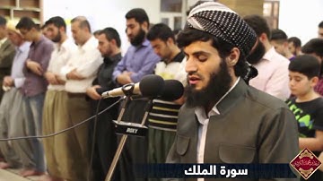 رعد  محمد الکردي ,, قراءة ما تيسر من سورة الملك  - جامع ”الفردوس”