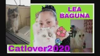 My Cat Eating Cat Channel