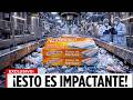 8 marcas de MERLUZA CONGELADA que NUNCA debes comprar en el SUPERMERCADO (y 4 que SÍ son seguras)
