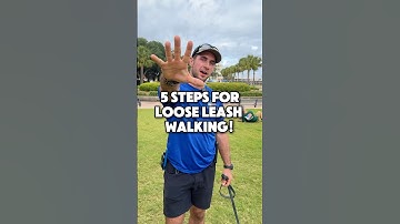 5 Steps for Loose Leash Walking #dogs