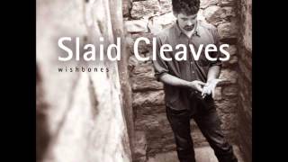 Video thumbnail of "Slaid Cleaves - Horses"