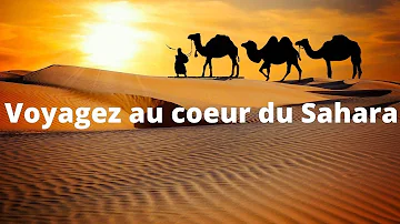 Voyagez au coeur du Sahara, Travel to the heart of the Sahara